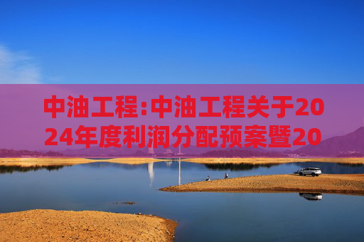 中油工程:中油工程关于2024年度利润分配预案暨2025年中期现金分红有关事项授权的公告