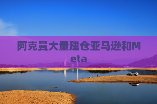 阿克曼大量建仓亚马逊和Meta