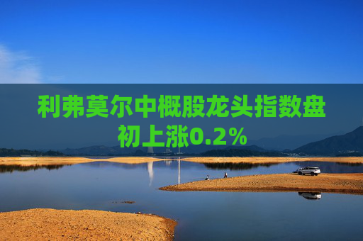 利弗莫尔中概股龙头指数盘初上涨0.2%