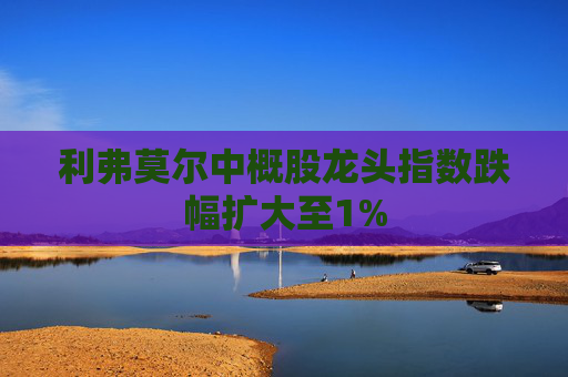 利弗莫尔中概股龙头指数跌幅扩大至1%