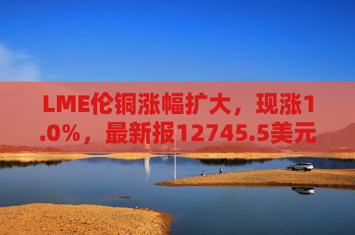 LME伦铜涨幅扩大，现涨1.0%，最新报12745.5美元/吨