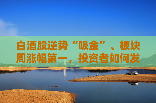 白酒股逆势“吸金”、板块周涨幅第一，投资者如何发掘舍得酒业的“质价比”