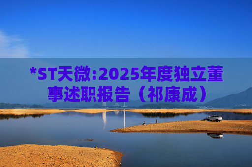 *ST天微:2025年度独立董事述职报告（祁康成）  第1张