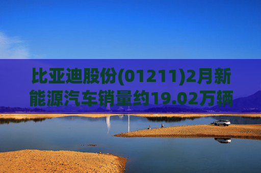 比亚迪股份(01211)2月新能源汽车销量约19.02万辆
