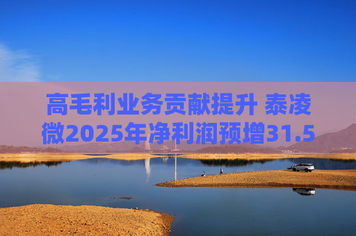 高毛利业务贡献提升 泰凌微2025年净利润预增31.53%