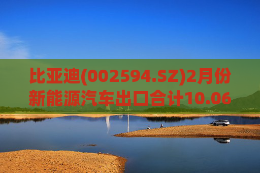 比亚迪(002594.SZ)2月份新能源汽车出口合计10.06万辆  第1张