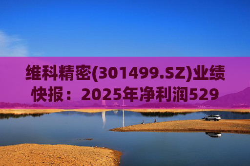 维科精密(301499.SZ)业绩快报：2025年净利润5293.82万元 同比增长16.85%  第1张