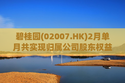 碧桂园(02007.HK)2月单月共实现归属公司股东权益合同销售金额约22.3亿元
