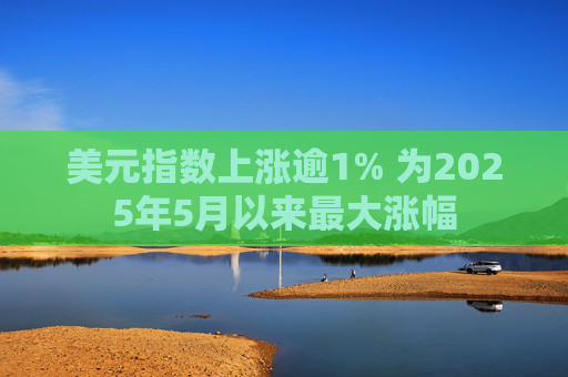美元指数上涨逾1% 为2025年5月以来最大涨幅