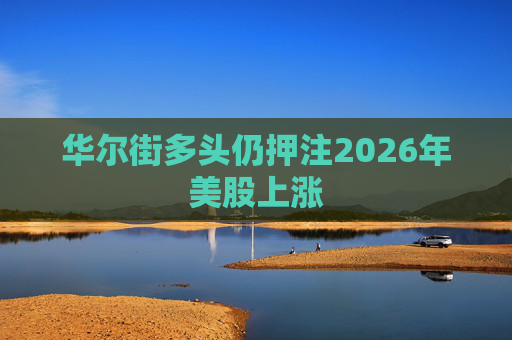 华尔街多头仍押注2026年美股上涨