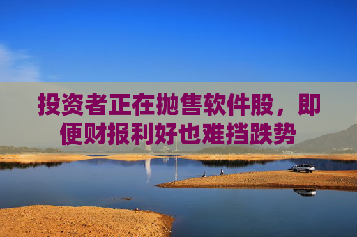 投资者正在抛售软件股，即便财报利好也难挡跌势