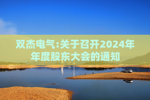 双杰电气:关于召开2024年年度股东大会的通知