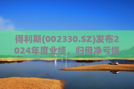 得利斯(002330.SZ)发布2024年度业绩，归母净亏损3367万元