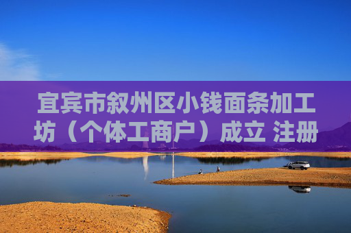 宜宾市叙州区小钱面条加工坊（个体工商户）成立 注册资本30万人民币
