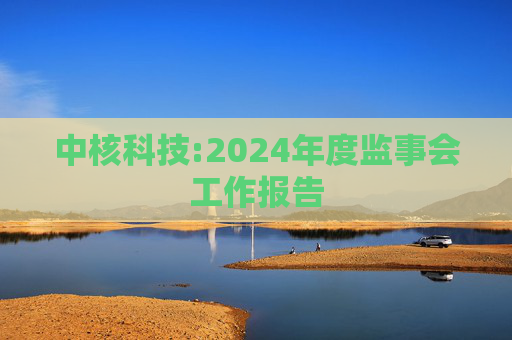 中核科技:2024年度监事会工作报告