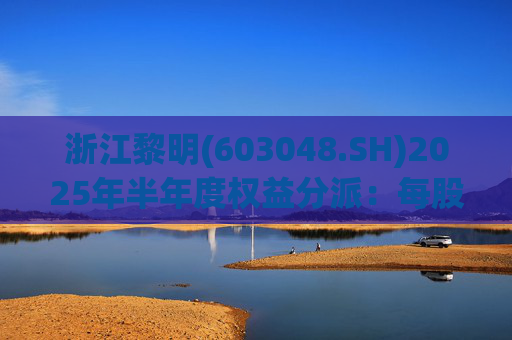 浙江黎明(603048.SH)2025年半年度权益分派：每股拟派利0.07元