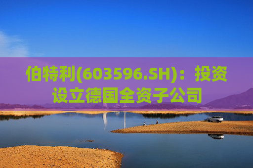 伯特利(603596.SH)：投资设立德国全资子公司