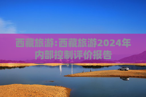 西藏旅游:西藏旅游2024年内部控制评价报告