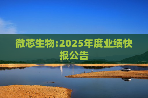 微芯生物:2025年度业绩快报公告