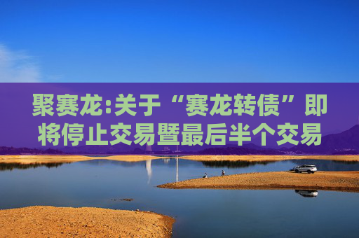 聚赛龙:关于“赛龙转债”即将停止交易暨最后半个交易日的重要提示性公告  第1张