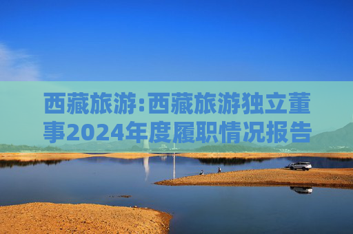 西藏旅游:西藏旅游独立董事2024年度履职情况报告（高金波）