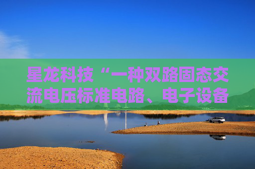 星龙科技“一种双路固态交流电压标准电路、电子设备”专利获授权  第1张