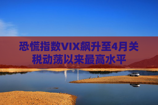 恐慌指数VIX飙升至4月关税动荡以来最高水平  第1张