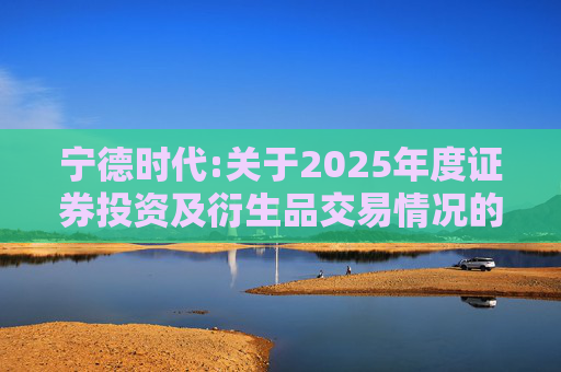 宁德时代:关于2025年度证券投资及衍生品交易情况的专项说明