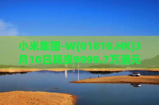 小米集团-W(01810.HK)3月10日耗资9999.7万港元回购297.7万股  第1张
