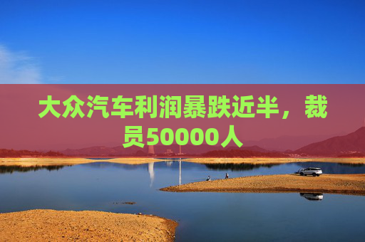 大众汽车利润暴跌近半，裁员50000人  第1张