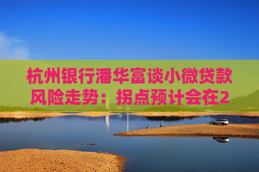 杭州银行潘华富谈小微贷款风险走势：拐点预计会在2025年四季度后开始出现