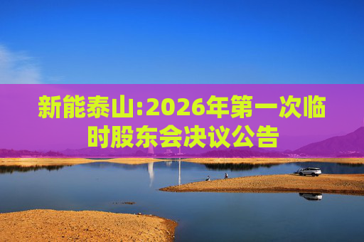 新能泰山:2026年第一次临时股东会决议公告