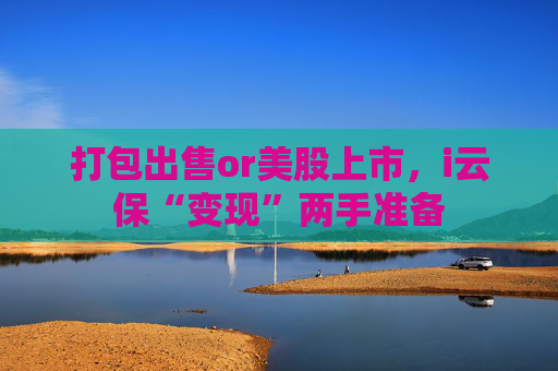 打包出售or美股上市，i云保“变现”两手准备