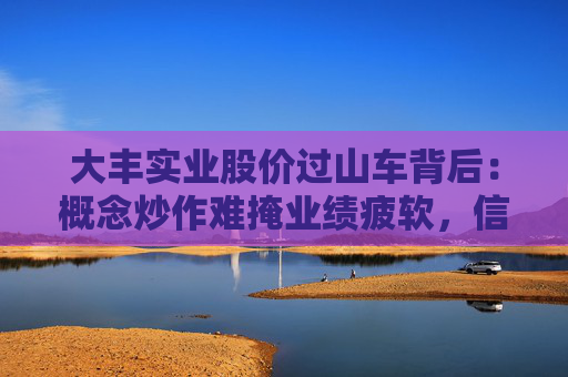 大丰实业股价过山车背后：概念炒作难掩业绩疲软，信披违规暴露治理隐忧  第1张