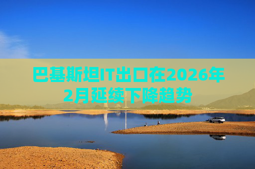 巴基斯坦IT出口在2026年2月延续下降趋势