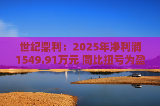 世纪鼎利：2025年净利润1549.91万元 同比扭亏为盈  第1张