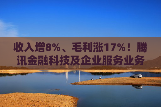 收入增8%、毛利涨17%！腾讯金融科技及企业服务业务稳健增长