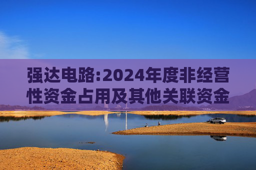 强达电路:2024年度非经营性资金占用及其他关联资金往来情况汇总表