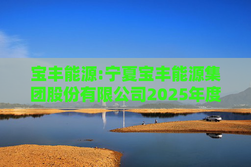 宝丰能源:宁夏宝丰能源集团股份有限公司2025年度独立董事述职报告（孙积禄）