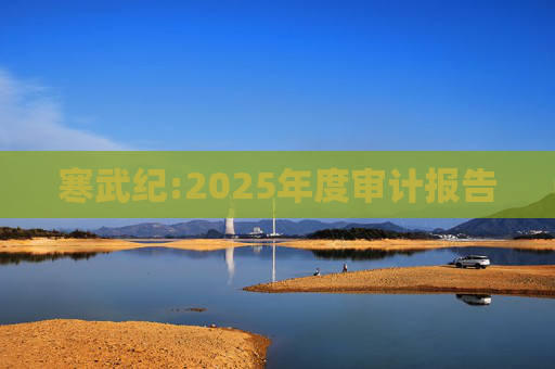 寒武纪:2025年度审计报告