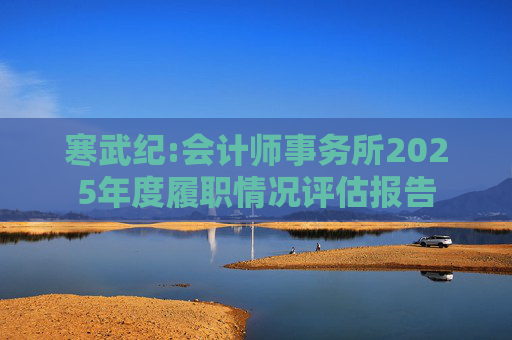 寒武纪:会计师事务所2025年度履职情况评估报告