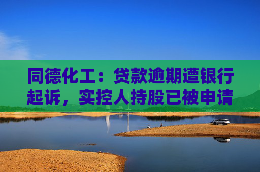 同德化工：贷款逾期遭银行起诉，实控人持股已被申请司法冻结  第1张
