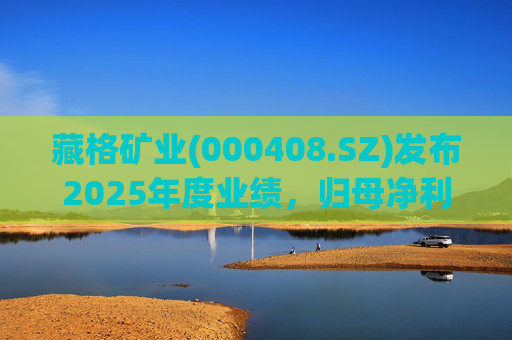 藏格矿业(000408.SZ)发布2025年度业绩，归母净利润38.52亿元，同比增加49.32%  第1张