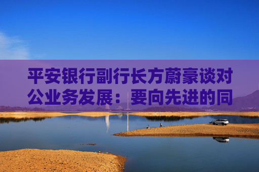 平安银行副行长方蔚豪谈对公业务发展：要向先进的同行多去学习，同时要大快步赶上