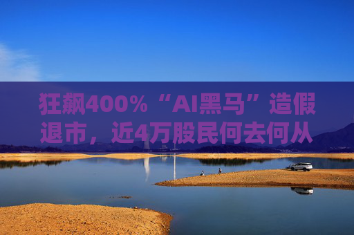 狂飙400%“AI黑马”造假退市，近4万股民何去何从？  第1张