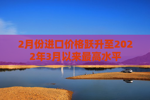 2月份进口价格跃升至2022年3月以来最高水平  第1张