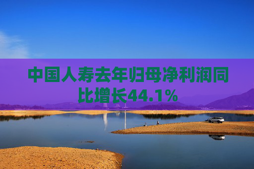 中国人寿去年归母净利润同比增长44.1%