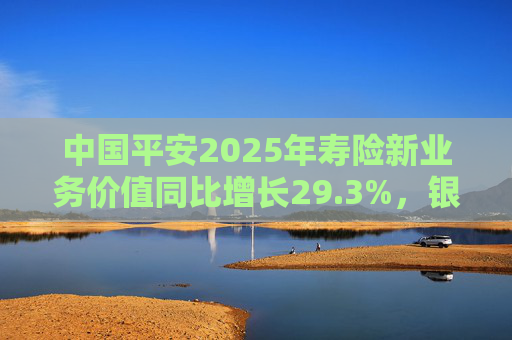中国平安2025年寿险新业务价值同比增长29.3%，银保渠道爆发式同比138%