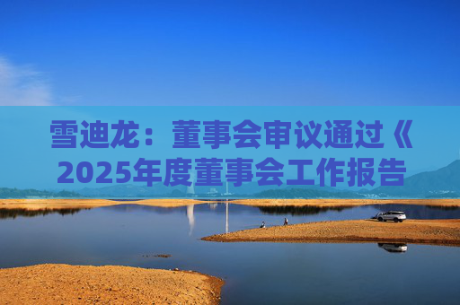 雪迪龙：董事会审议通过《2025年度董事会工作报告》等多项议案  第1张