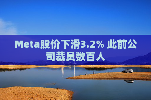 Meta股价下滑3.2% 此前公司裁员数百人